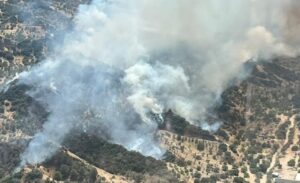 Yangın, saat 11.40 sıralarında Avşar Mahallesi’ndeki kırsal alanda çıktı. Rüzgarın