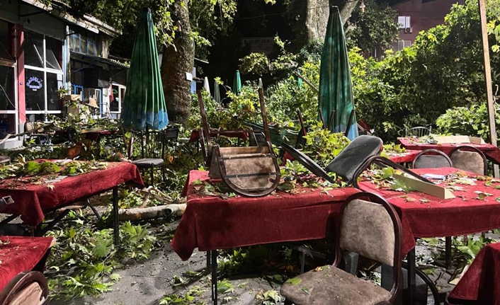 İzmir’de görenleri hayrete düşüren bir olay yaşandı. Kemalpaşa ilçesinde bu