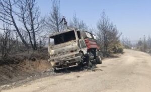 Yangın, saat 10.00 sıralarında Eceabat ilçesi yakınlarında başladı. İhbar üzerine