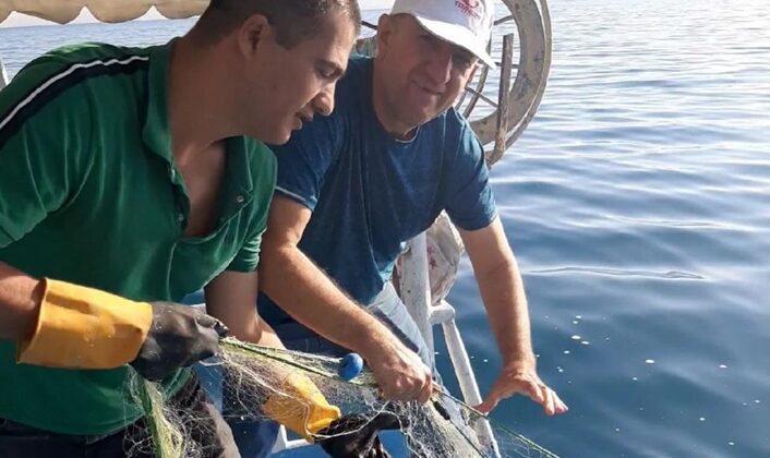 Van’ın iç sularındaki sazangiller için aylar süren av yasağı sona erdi