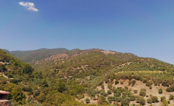 Aydın’da saat 10.00 sıralarında Karacasu’dan Çine’ye kadar şiddetli şekilde hissedilen
