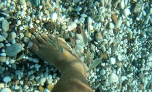 Antalya’da erken başlayan yaz dönemi şehre turist akını yaşatırken kıyıda