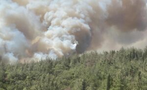 Yangın, saat 10.00 sıralarında Eceabat ilçesi yakınlarında başladı. İhbar üzerine