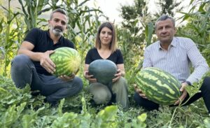 Yüksekova ilçesinde tarımda son dönemlerin en bereketli bir seneyi geçirirken,