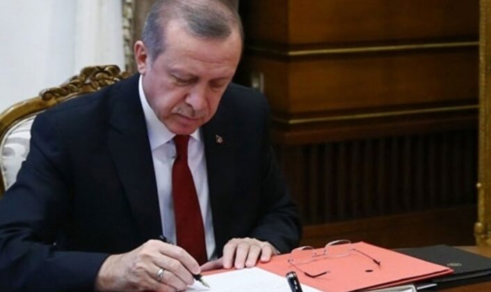 Cumhurbaşkanı Erdoğan onayladı! Sokak hayvanları düzenlemesi yürürlüğe girdi