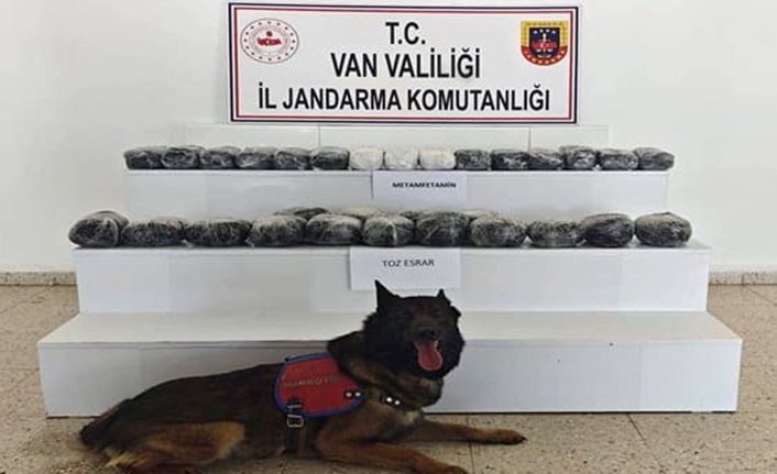 Van Valiliğinden yapılan açıklamada, İl Jandarma Komutanlığı timlerince 1-31 Temmuz