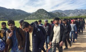 İçişleri Bakanı Ali Yerlikaya, AK Parti İnsan Hakları Başkanlığı tarafından