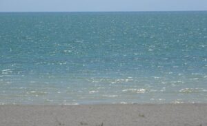 Bitlis Belediye Başkanı Nesrullah Tanğlay, Van Gölü Ekspresi ile Ankara’dan