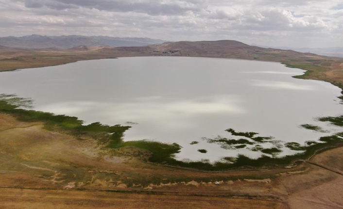 Özalp ilçesine 20 kilometre uzaklıkta bulunan, 407 hektar alanı kaplayan