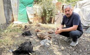 Olay, dün gece Güngör Mahallesi’nde ikamet eden Nizam Boz isimli