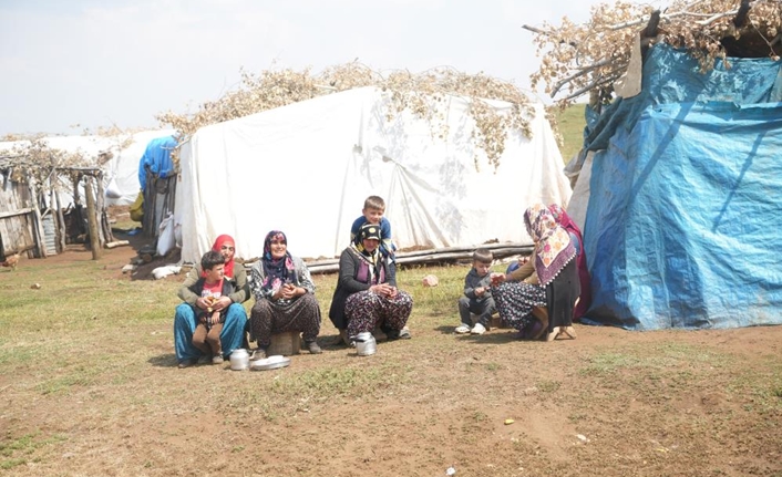 Muş’ta hayvancılıkla uğraşan ailelerin beraberlerindeki hayvanlarıyla yaylalardaki yaşamları kimi zaman
