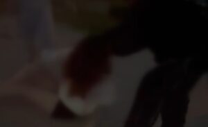 Liselilerin kavgasına bir yenisi daha eklendi. Erkek kavgalarının yanı sıra