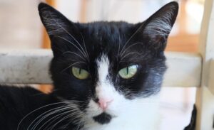 İlginç olayları ve renkli anları ile gündeme gelen Adana, yine