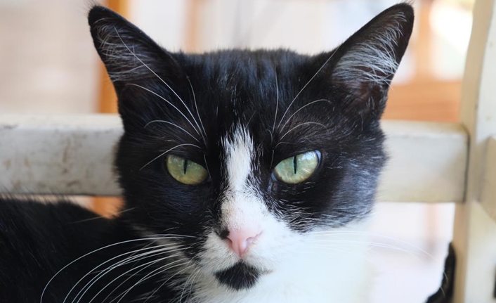 İlginç olayları ve renkli anları ile gündeme gelen Adana, yine