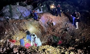 Altındağ Belediyesi geçici bakım evi çevresinde bulunan hayvan mezarlığı hakkında