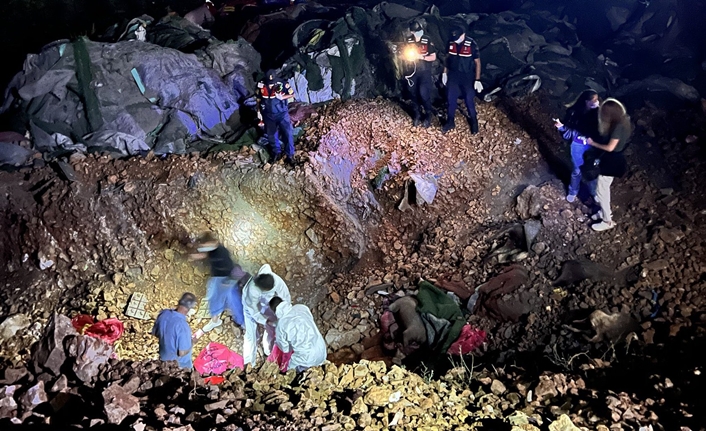 Altındağ Belediyesi geçici bakım evi çevresinde bulunan hayvan mezarlığı hakkında