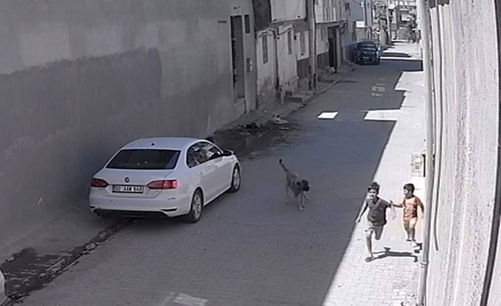 lay, Şanlıurfa’nın Ceylanpınar ilçesine bağlı Seydo Atilla Mahallesinde yaşandı. Güvenlik
