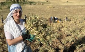 İlçeye yaklaşık 17 kilometre uzaklıkta bulunan Kamışlı köyünün Mamerzan bölgesinde