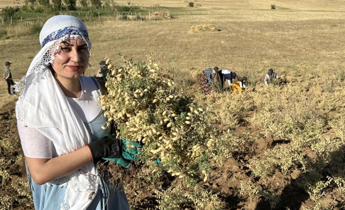 İlçeye yaklaşık 17 kilometre uzaklıkta bulunan Kamışlı köyünün Mamerzan bölgesinde