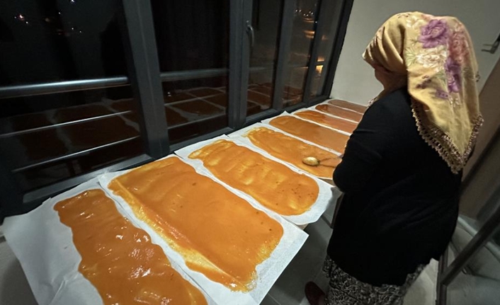 Her sene olduğu gibi bölge halkı meyve ağaçlarından ürünlerini toplamaya