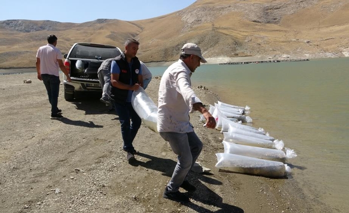 Tarım ve Orman Bakanlığı tarafından su kaynaklarındaki nesli tehlike ve