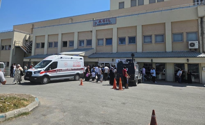 Olay, Bulanık ilçesine bağlı Erentepe beldesinde meydana geldi. İddiaya göre