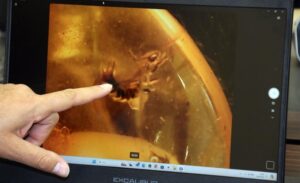 Bitlisli iş insanı Enver Yücel, Ukrayna’da maden işletmeciliği yaparken elde