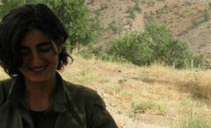 MİT, PKK/KCK’nın sözde bilim ve aydınlanma komitesi üyesi ‘Pelin Batman’