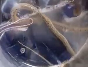 Hakkari’de bir aile çamaşır makinesini çalıştırdı, korku dolu anlar yaşandı