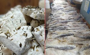 Van ve çevre illerinde hipertansiyon, halk sağlığını tehdit eden en