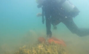 Van Büyükşehir Belediyesi tarafından başlatılan “Duyarlı Toplum, Temiz Van” kampanyası,