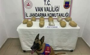 Van Valiliği tarafından yapılan açıklamaya göre, İl Jandarma Komutanlığı’nın 1-31