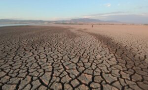 Van Gölü’nün 30 kilometre doğusunda yer alan ve bölgenin kuş