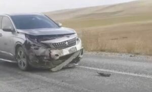 Van-Özalp karayolunda Dönerdere Mahallesi mevkiinde aniden yola çıkan bir domuza