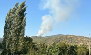 Yangın, bugün akşam saatlerinde Etrenli Mahallesi’ndeki ormanlık alanda çıktı. Edinilen