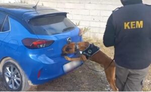 Van Emniyet Müdürlüğü Narkotik Suçlarla Mücadele Şube Müdürlüğü ekipleri, uyuşturucu