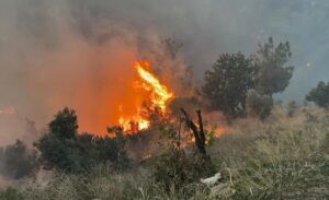 Arsuz ilçesine bağlı Kozaklı Mahallesi’nde geçtiğimiz gün sabah saatlerinde başlayan