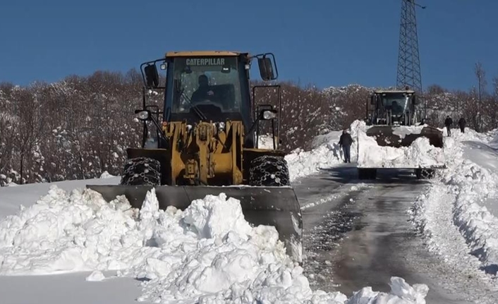 Varto’da etkili olan yoğun kar yağışı, ulaşımda aksamalara neden oldu.