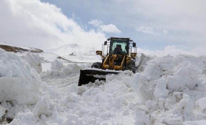 Van’da etkili olan kar yağışı hayatı olumsuz etkiledi. Kar yağışı
