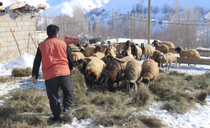 Bitlis merkeze bağlı Değirmenaltı köyünde hava sıcaklığı zaman zaman -20