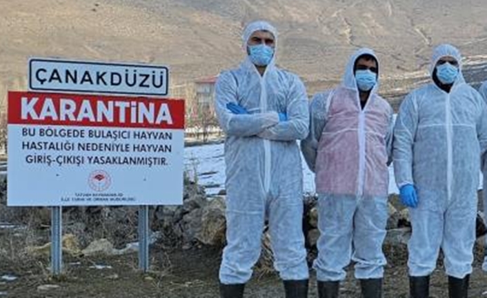 Tatvan ilçesine bağlı Çanakdüzü köyünde şap hastalığı tespit edilmesi üzerine