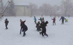 Türkiye genelinde etkili olan soğuk hava dalgası ve yoğun kar