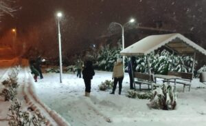 Türkiye genelinde etkili olan soğuk hava dalgası ve yoğun kar