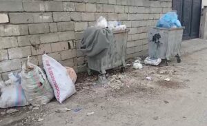 Van’ın Tuşba ve İpekyolu ilçelerinde çöp konteynerlerinin uzun süre boşaltılmaması,