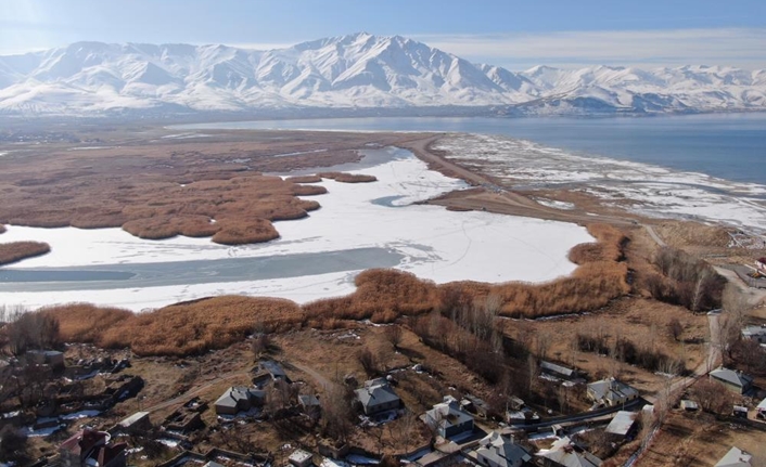 Edremit ilçesinde bulunan Dilkaya Sazlığı, dondurucu soğukların etkisiyle buzla kaplandı.