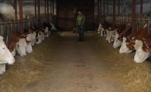 Muş merkeze 15 kilometre uzaklıktaki Harman köyünde yaşayan 59 yaşındaki