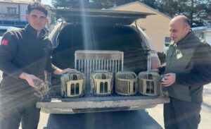 Gürpınar ilçesinde kafes avcılığı yapan 3 kişiye 93 bin 149