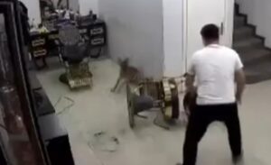 Kartepe ilçesinde bir erkek kuaföründe tıraş olan müşterinin yanındaki köpek,