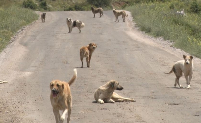 Konya’nın Karatay ilçesinde meydana gelen trajik olayda, 2 yaşındaki Suriye