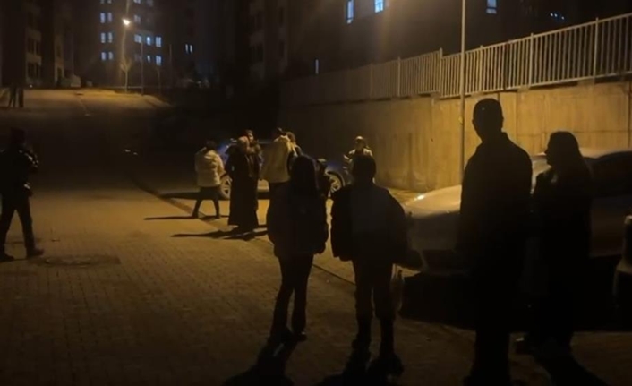 Afet ve Acil Durum Yönetimi Başkanlığı Deprem Dairesi Başkanlığı (AFAD)